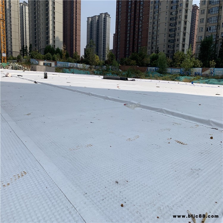 覆布排水板 排水板自粘土工布 板布一體 漢高全國發貨