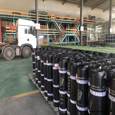 耐根穿刺防水卷材  聚乙烯防水卷材  塑性體改性瀝青防水卷材
