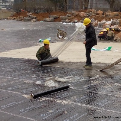 金西克防水廠家 屋頂雙面自粘防水卷材 無胎高分子自粘防水卷材