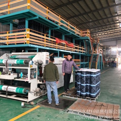 北京大興廠家直銷SBS火烤型 防水卷材 耐根穿刺防水卷材  昕宇虹防水卷材