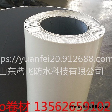 鳶飛工廠 1.2mm聚烯烴tpo防水卷材 聚氯乙烯pvc tpo自粘防水卷材 預鋪反粘 垃圾場 體育場用防水材料