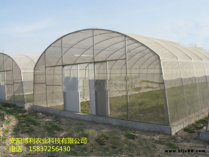全國上門安裝 博利方鋼大棚草莓大棚 防風(fēng)抗壓質(zhì)量保證