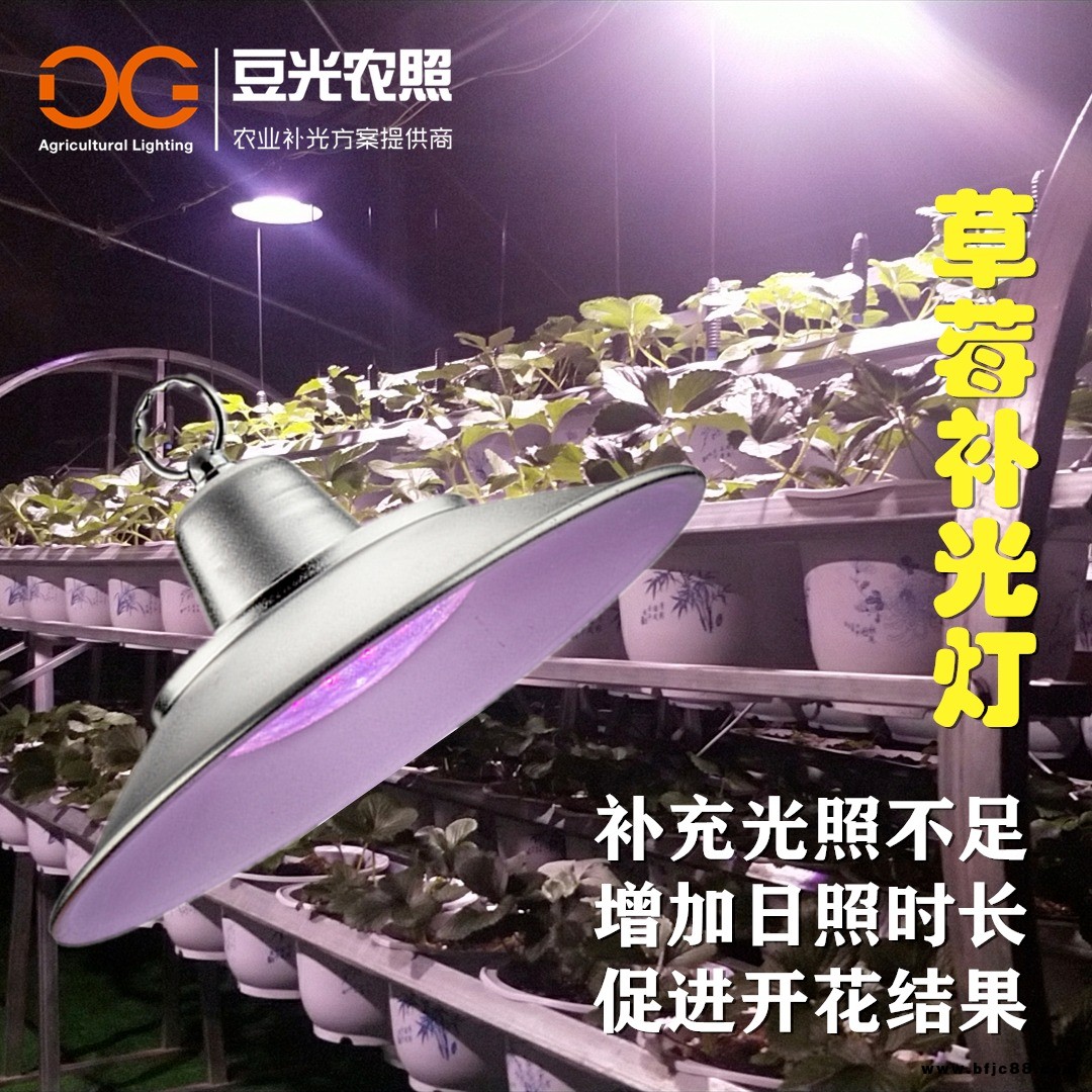 設施草莓專用光照燈 LED全光譜植物生長燈 大棚防水補光燈 垂直農業照明