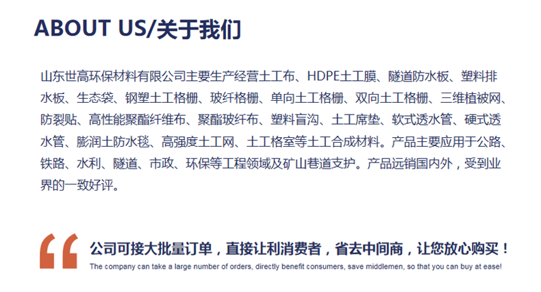 鋼塑土工格柵廠家批發(fā)價(jià)格 路基加固雙向鋼塑格柵廠家直銷示例圖5