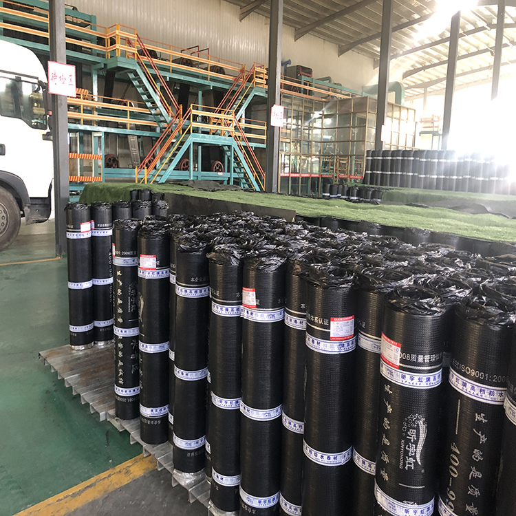 耐根穿刺防水卷材  高分子防水卷材  app瀝青防水卷材
