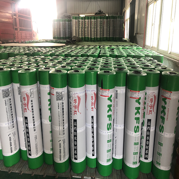 防水卷材  防水材料 防水卷材廠家