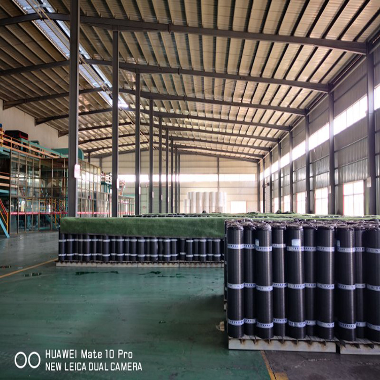 防水卷材  防水材料 防水卷材廠家
