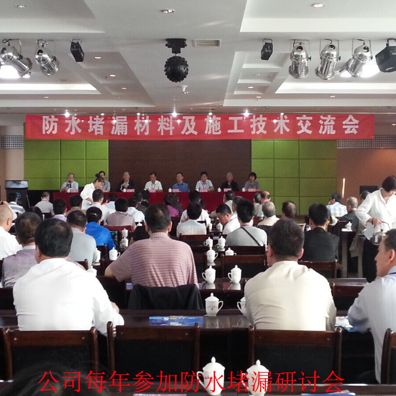 400g仿國標(biāo) 丙綸復(fù)合防水卷材 隧道防水卷材示例圖16